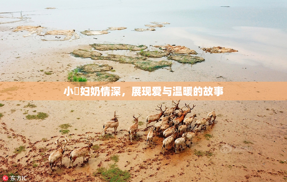 小婬妇奶情深，展现爱与温暖的故事