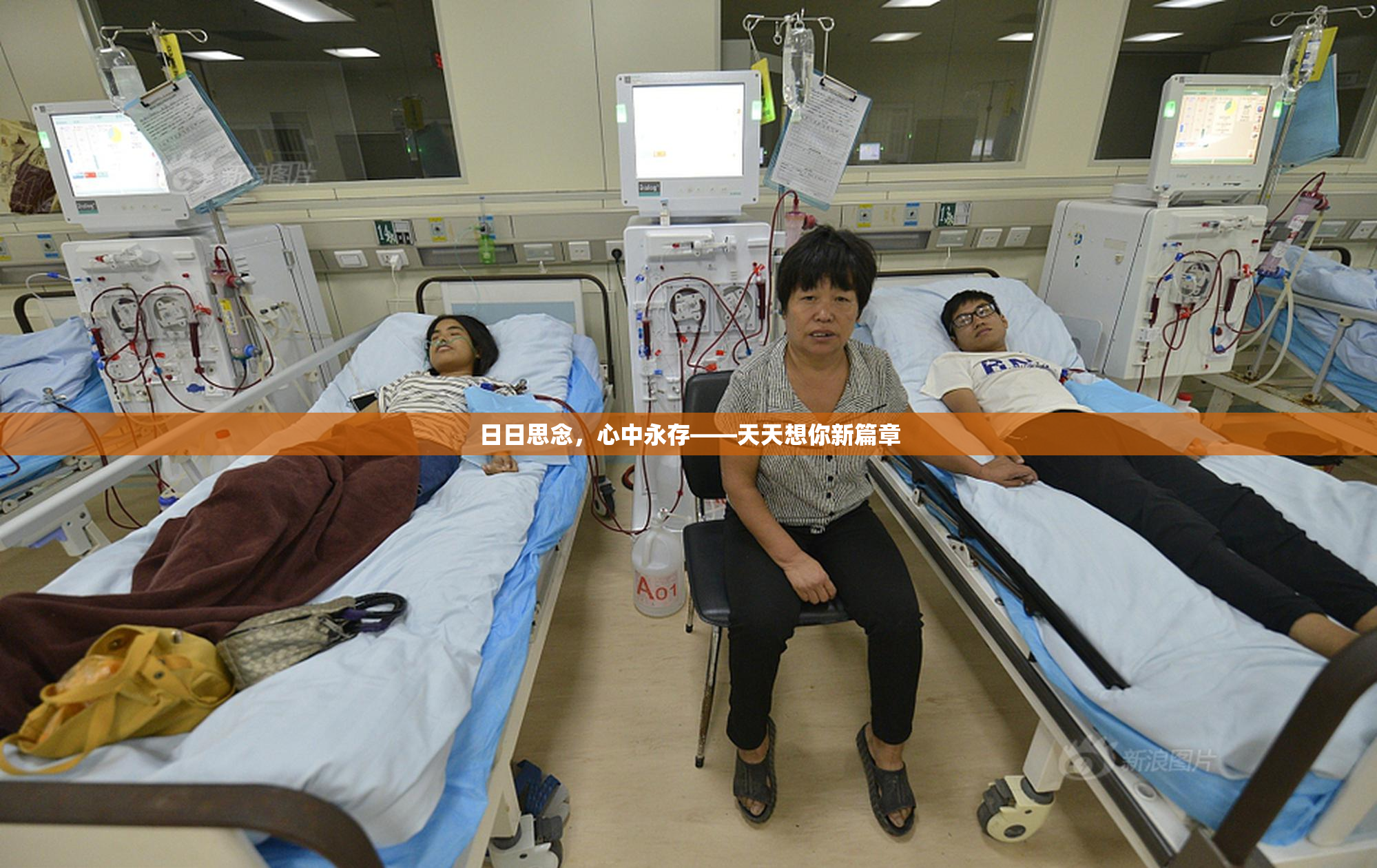 日日思念，心中永存——天天想你新篇章
