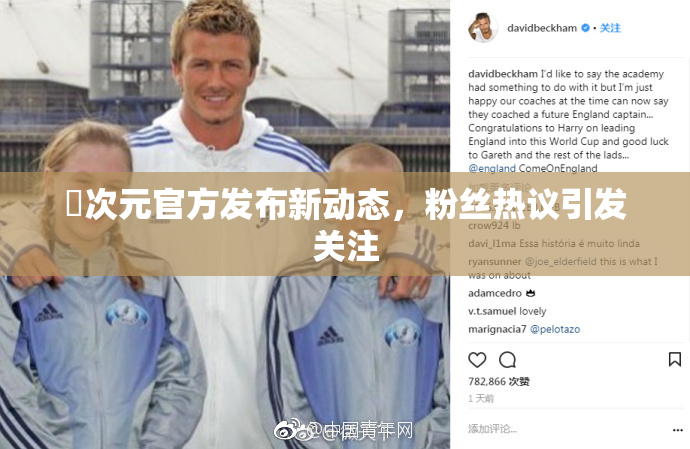 囧次元官方发布新动态，粉丝热议引发关注