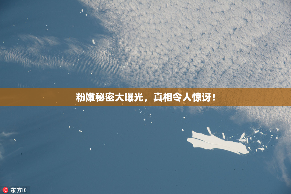 粉嫩秘密大曝光，真相令人惊讶！