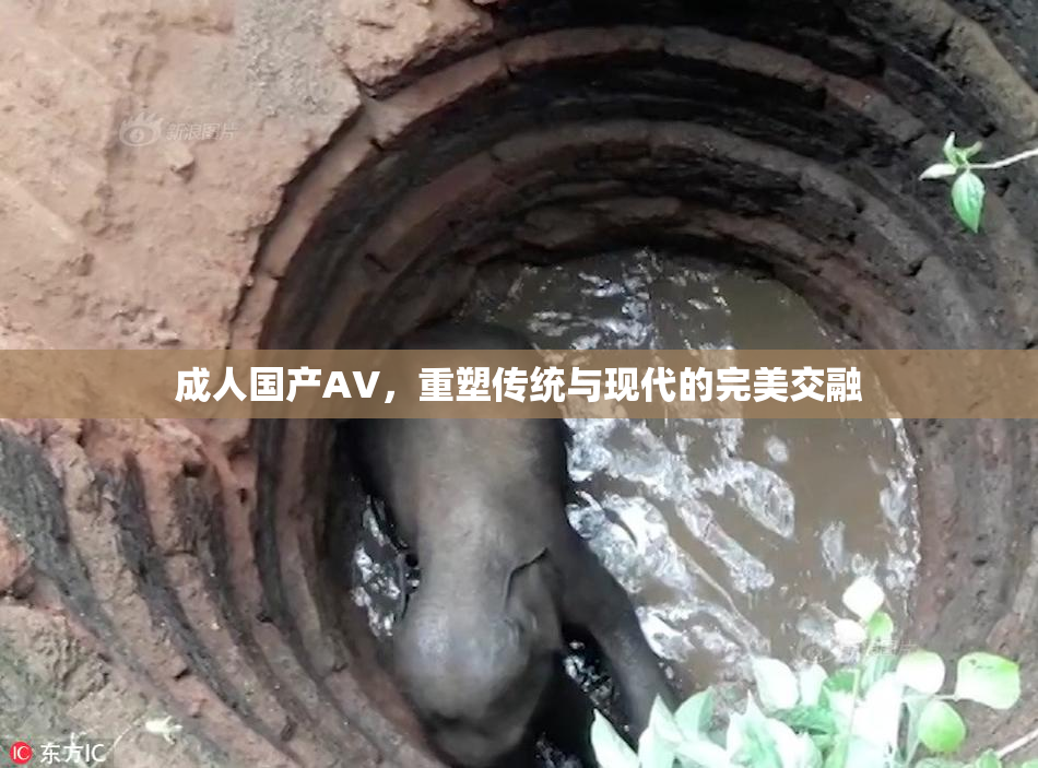 成人国产AV，重塑传统与现代的完美交融