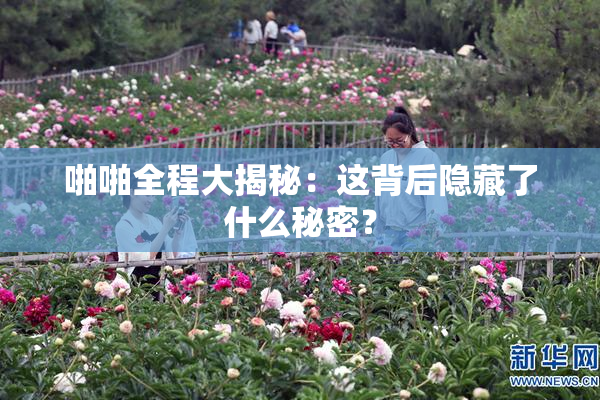 啪啪全程大揭秘：这背后隐藏了什么秘密？