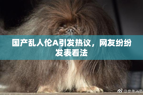 国产乱人伦A引发热议，网友纷纷发表看法
