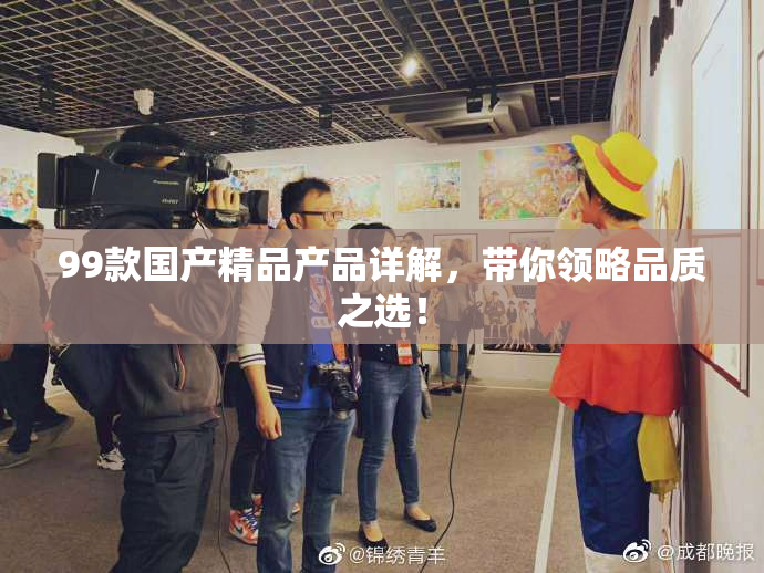 99款国产精品产品详解，带你领略品质之选！