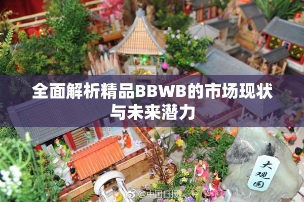 全面解析精品BBWB的市场现状与未来潜力