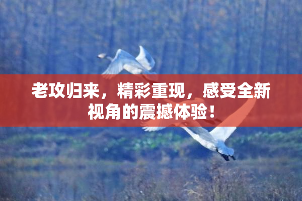 老攻归来，精彩重现，感受全新视角的震撼体验！