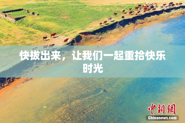 快拔出来，让我们一起重拾快乐时光