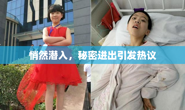 悄然潜入，秘密进出引发热议