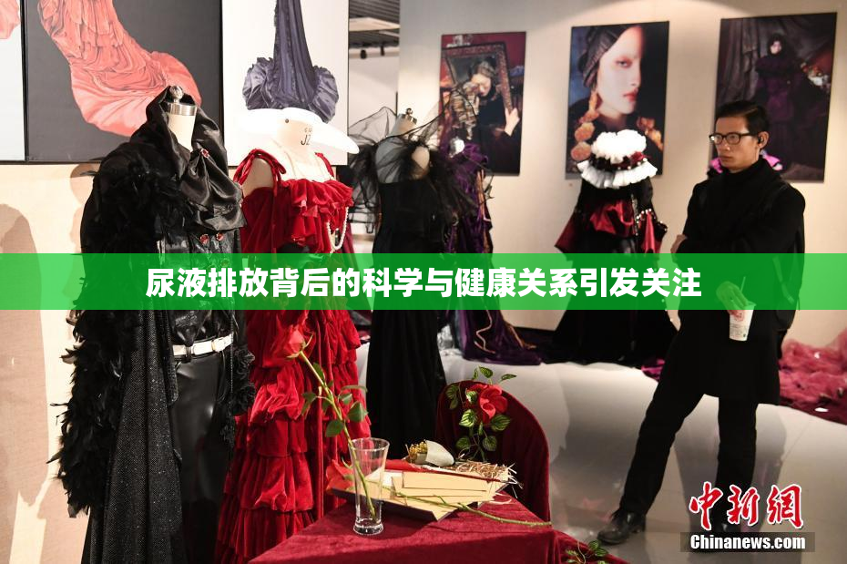 尿液排放背后的科学与健康关系引发关注