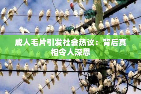 成人毛片引发社会热议：背后真相令人深思