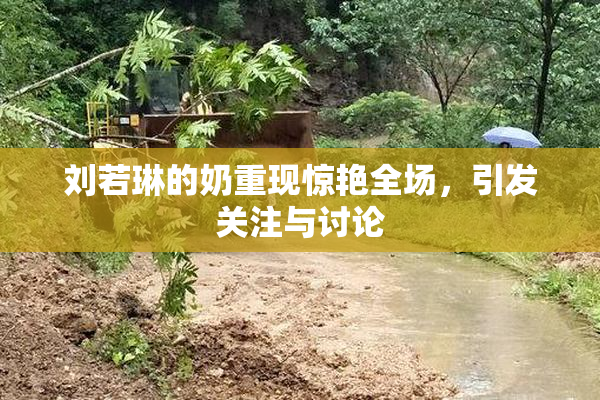 刘若琳的奶重现惊艳全场，引发关注与讨论