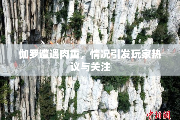 伽罗遭遇肉重，情况引发玩家热议与关注