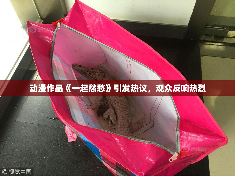 动漫作品《一起愁愁》引发热议，观众反响热烈