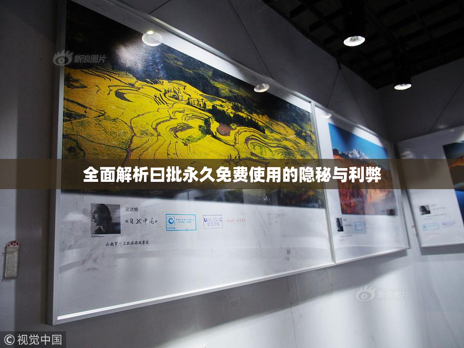 全面解析曰批永久免费使用的隐秘与利弊