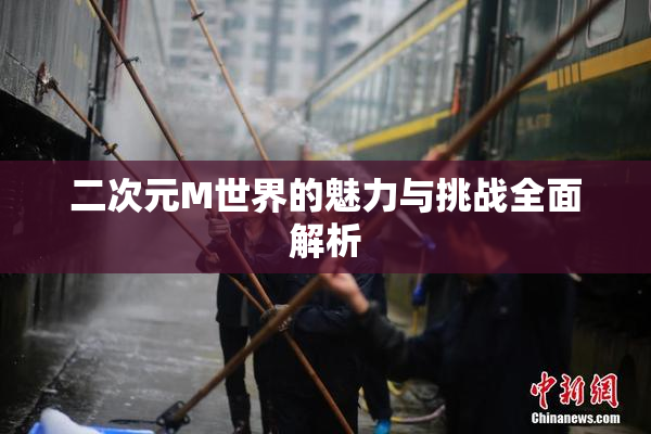 二次元M世界的魅力与挑战全面解析