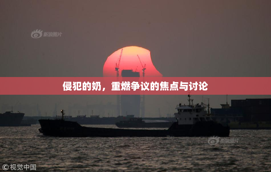 侵犯的奶，重燃争议的焦点与讨论
