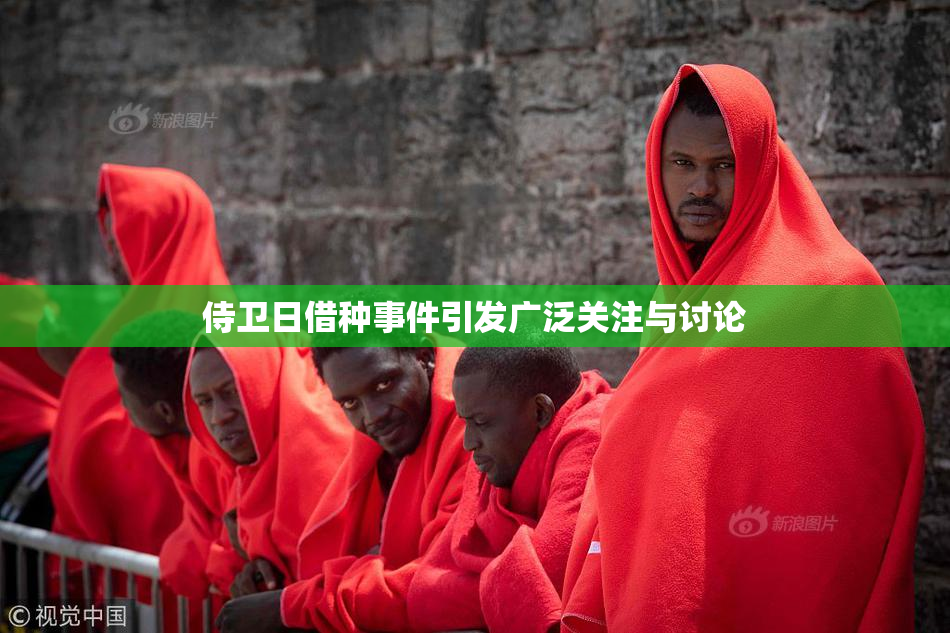 侍卫日借种事件引发广泛关注与讨论
