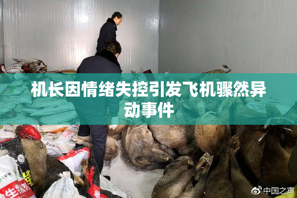 机长因情绪失控引发飞机骤然异动事件