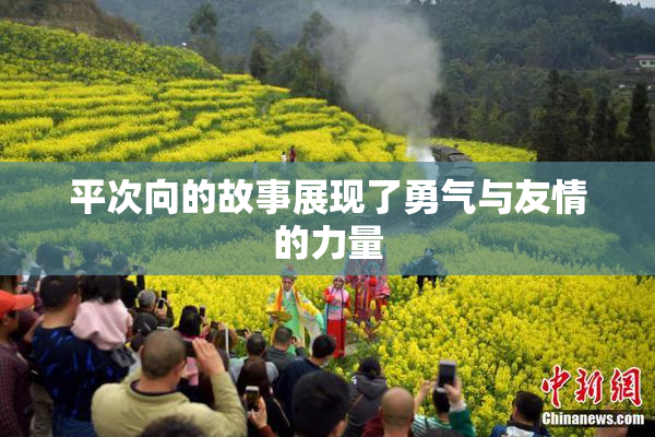 平次向的故事展现了勇气与友情的力量