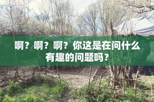 啊？啊？啊？你这是在问什么有趣的问题吗？