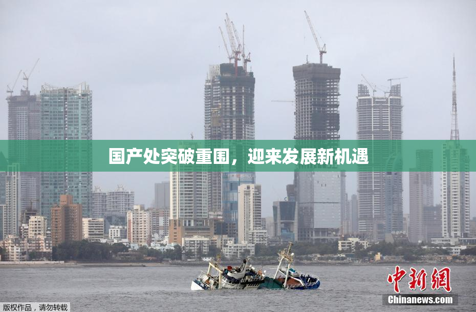 国产处突破重围，迎来发展新机遇