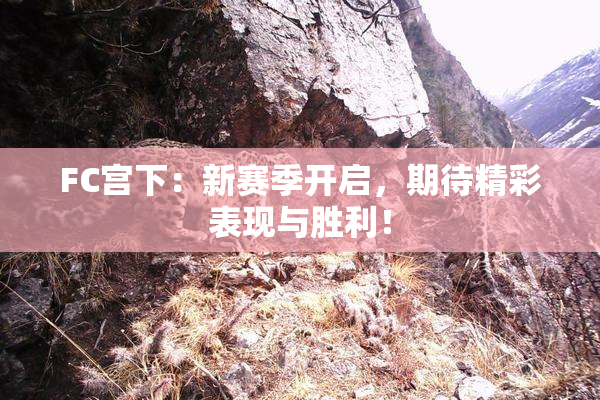 FC宫下：新赛季开启，期待精彩表现与胜利！