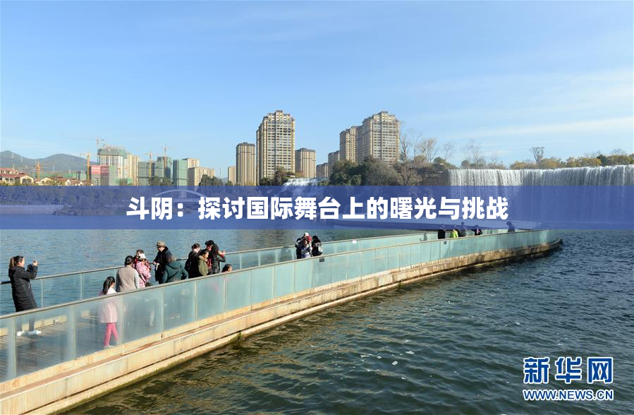 斗阴：探讨国际舞台上的曙光与挑战