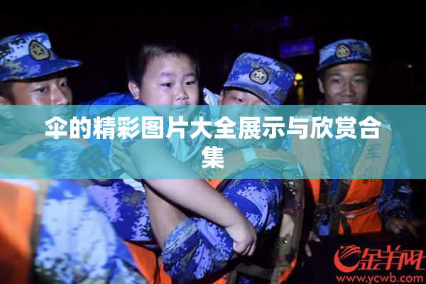 伞的精彩图片大全展示与欣赏合集