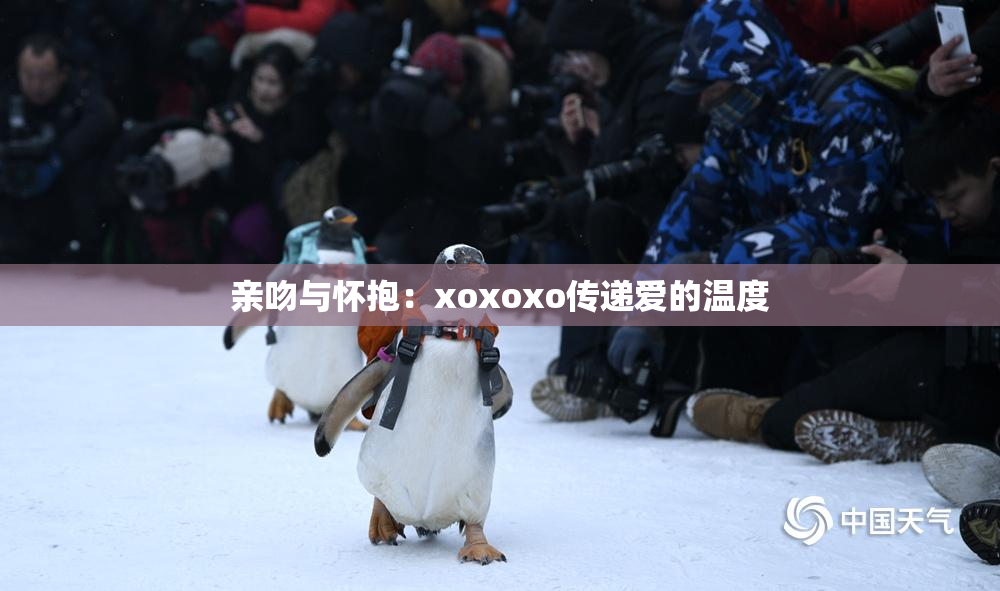 亲吻与怀抱：xoxoxo传递爱的温度