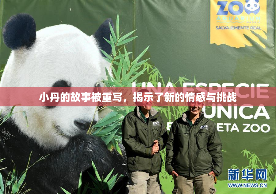 小丹的故事被重写，揭示了新的情感与挑战