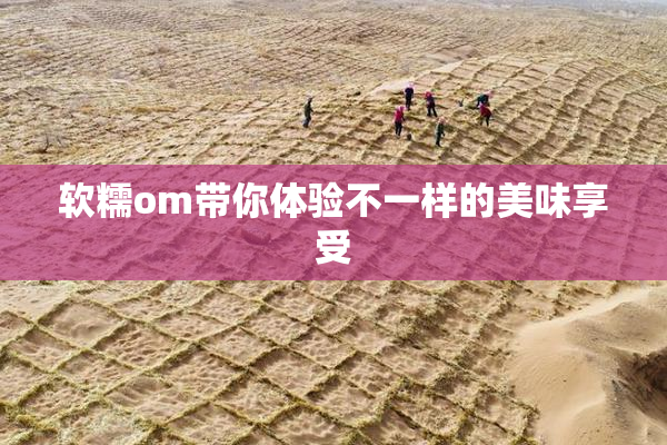 软糯om带你体验不一样的美味享受