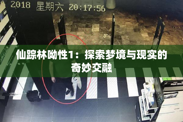仙踪林呦性1：探索梦境与现实的奇妙交融