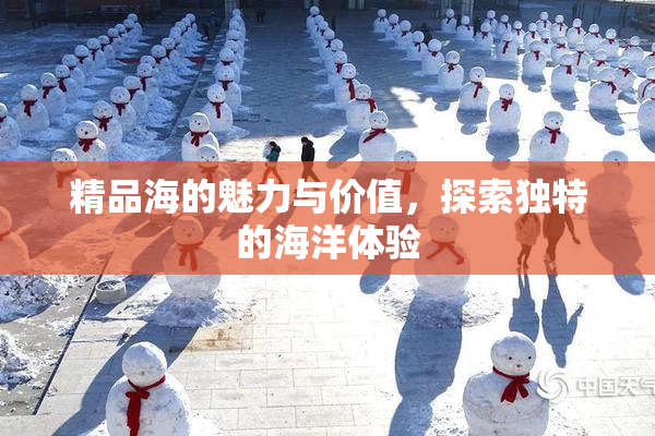 精品海的魅力与价值，探索独特的海洋体验