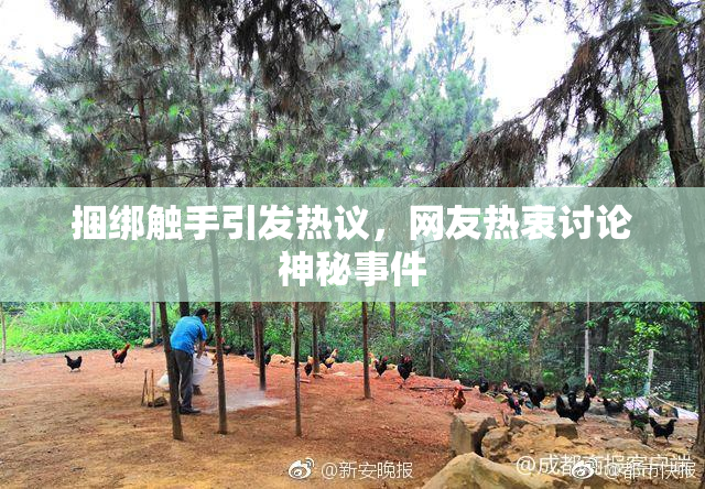 捆绑触手引发热议，网友热衷讨论神秘事件