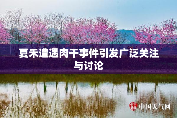 夏禾遭遇肉干事件引发广泛关注与讨论