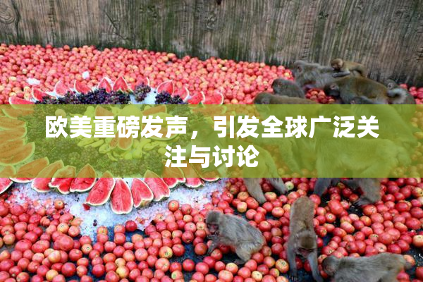 欧美重磅发声，引发全球广泛关注与讨论