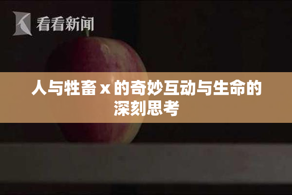 人与牲畜ⅹ的奇妙互动与生命的深刻思考