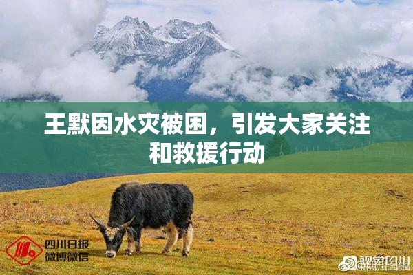 王默因水灾被困，引发大家关注和救援行动