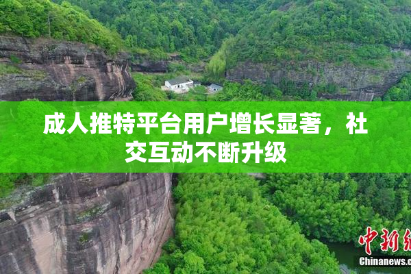 成人推特平台用户增长显著，社交互动不断升级