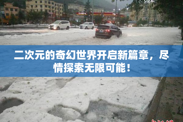 二次元的奇幻世界开启新篇章，尽情探索无限可能！