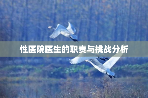 性医院医生的职责与挑战分析