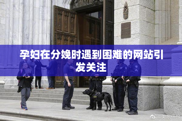 孕妇在分娩时遇到困难的网站引发关注