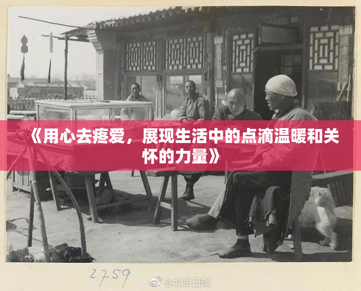 《用心去疼爱，展现生活中的点滴温暖和关怀的力量》
