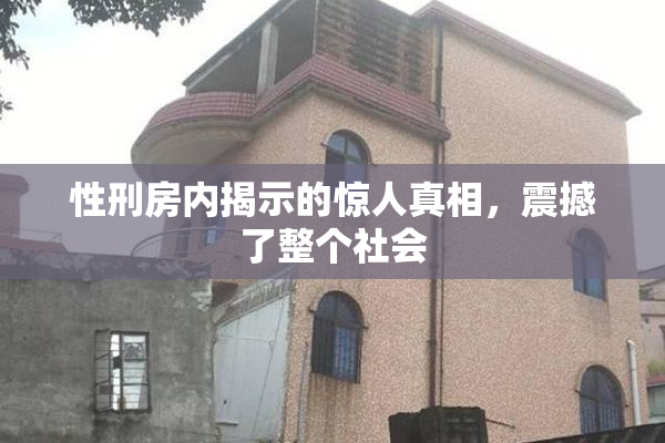 性刑房内揭示的惊人真相，震撼了整个社会
