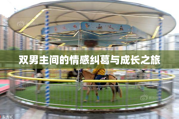双男主间的情感纠葛与成长之旅