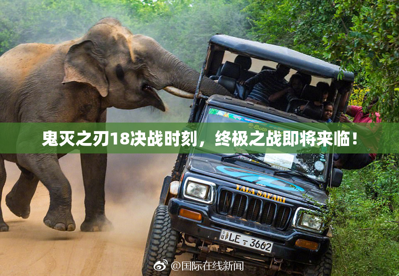 鬼灭之刃18决战时刻，终极之战即将来临！