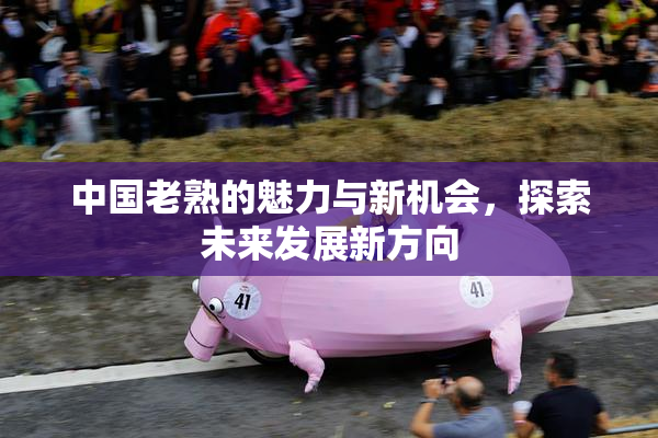 中国老熟的魅力与新机会，探索未来发展新方向