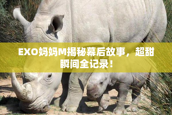 EXO妈妈M揭秘幕后故事，超甜瞬间全记录！