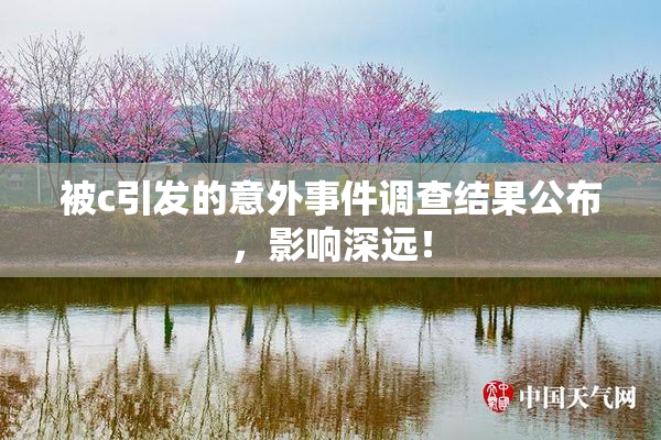 被c引发的意外事件调查结果公布，影响深远！