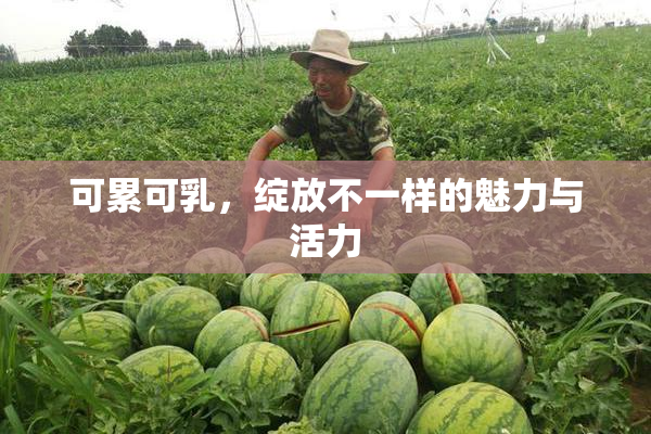 可累可乳，绽放不一样的魅力与活力